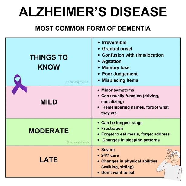 Alzheimer's disease stages infographic for NCLEX High Yield